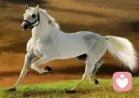 生活能渡的，是愿意自渡的人。配圖