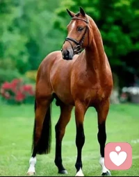 堅持就會有希望，堅持就是一種改變！你人生的整個過程，就是一種堅持，無關好壞，你都在堅持走完你平凡而又精彩的人生之路。配圖