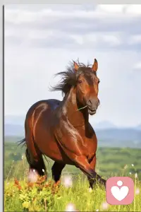 很多時候不能拿年齡去判斷一個人的.經歷.認知配圖