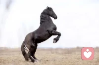 你走我不會去送你，你來，不管風雨再大，我也會去接你配圖