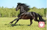 所謂生活，每個瞬間都充滿了選擇。此時此刻你所經歷的一切，正是你過去做過的無數個選擇的后果。
無論選擇哪條路，肯定都會對沒走的那條路念念不忘吧！配圖