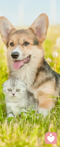 人和人之間相處，最基本的是信任。有人愿意將快樂分享給你，那是出于情誼。有人愿意揭開自己蒙在心靈上的面紗，向你展露不為人知的秘密，是出于對你的信任配圖