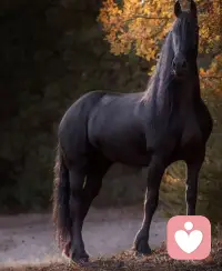 好多人在說自己孤獨，說自己孤獨的人其實并不孤獨。孤獨不是受到了冷落和遺棄，而是無知己，不被理解。
需要的時候我就在這里！配圖