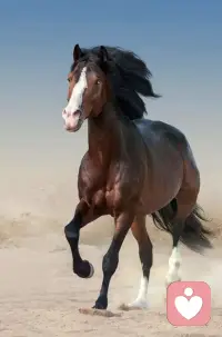 人的煩惱主要來源于兩種，一種是對別人抱有太高的期望，當別人達不到的時候，便會煩惱。第二種是對自己太過苛刻，要求太高，也會變得不幸福。配圖