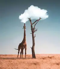 只有頻率相同的人，才能看見彼此內(nèi)心深處不為人知的優(yōu)雅，懂得你的言外之意，理解你的山河萬里，尊重你的與眾不同。配圖
