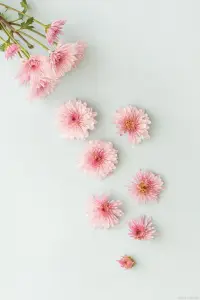 當下的日子，也許你不想過了，因為當下的你不夠積極，因為當下的你不夠樂觀，因為當下的你不夠開朗。配圖