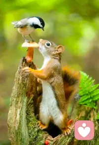 人性的本質是渴望欣賞，尤其是孩子。欣賞可以讓孩子長成參天大樹，貶低可以讓孩子枯萎畸形。配圖