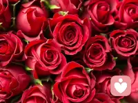 情感是人類最為珍貴的財富，它們可以激發我們的內在動力，讓我們更加熱愛生命，更加熱愛這個世界配圖