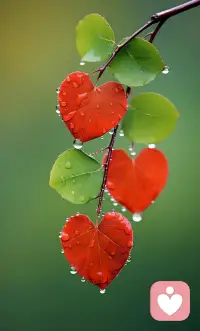 美好的十一月來了，愿一切安好，不負(fù)韶華，不負(fù)春秋。配圖