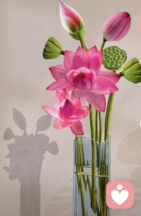 清醒意味著我們對自己的心靈有更深的認知。
專注有意義的事，照顧自己的內(nèi)心身心靈健康，珍惜心靈相通的人，培養(yǎng)真誠溫暖的關系，保持積極態(tài)度和內(nèi)心的激情。
感謝每一次遇見配圖