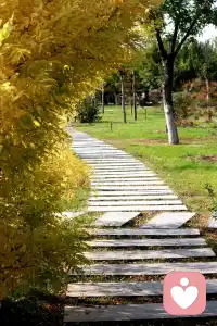 你    ，要記住，百事從心起，一笑解千愁心態好，一切都好。配圖