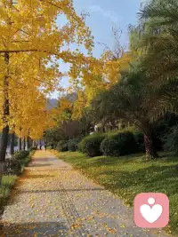 生命的美麗，永遠(yuǎn)展現(xiàn)在她的進(jìn)取之中;就像大樹的美麗，永遠(yuǎn)展現(xiàn)在它負(fù)勢(shì)向上高聳入云的蓬勃生機(jī)中。
無論何時(shí)何地，都相信自己的價(jià)值和潛力。相信自己！配圖