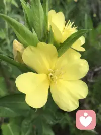 每人都渴望活出真實的模樣配圖