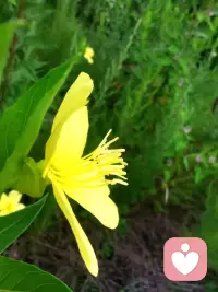 一覺醒來懶洋洋，窗外蒙蒙細雨，天涼了，懶在床上想想今天干點什么呢？（如果你就是我怎么想的）配圖