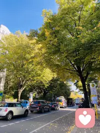 一片飄舞的紅葉，遇見深情的秋天，一個(gè)俏皮的飛吻，羞澀了秋的笑臉。
楓葉飄飄，傳遞著秋的燦爛，懷揣著秋的夢想，等待來年的春天。
春花秋葉，夏雨冬雪，自然如此，人生循環(huán)
有煩惱痛苦艱難，有幸福快樂高光
命運(yùn)如此，
低谷時(shí)不自暴自棄
高潮期不忘乎所以
……配圖