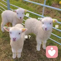 我印象中說遇到我財(cái)運(yùn)變好的有，運(yùn)氣變好的有。最近遇到的那個(gè)人，他對(duì)我的糾纏不休，是因?yàn)橛X得我旺他嗎（因?yàn)槲医o過他我的八字）？

可我只對(duì)遇到讓我覺得倒霉的人有印象。以前有過多次離開錯(cuò)的人運(yùn)氣會(huì)變好，會(huì)中獎(jiǎng)的經(jīng)歷。

好像至今沒有遇到那種人，讓我覺得遇到ta突然運(yùn)氣變好或者財(cái)運(yùn)變好~當(dāng)然我一路過來，確實(shí)都有遇到不少幫助吧~走過彎路，但并不是一無所獲。

有些貴人運(yùn)的，可惜有點(diǎn)斷斷續(xù)續(xù)，最近能量很不足，晚上要赴約嗎？…有點(diǎn)糾結(jié)……配圖