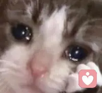 感情，原以為找到了可以陪伴終身的人，但卻因為外力與玄學分手告終。現在迷茫，再次感覺到找對象好難好難
——需要繼續擴大接觸面，尋找良人
事業，經濟下行，互聯網寒冬，已經感受到了寒氣，今年經歷了一次裁員，新找的工作，負責的產品線也又開始停工裁員，瑟瑟發抖，看不清方向
——提早做好跳槽準備，考慮要不要換方向，做好承受gapyear的準備
同時兼顧以上兩項感覺好難啊，時間精力不夠用，感覺近20多歲的這幾年就一直徘徊在以上兩個怪圈里打轉，迷茫，找不清方向，難難難！跨年齡段煩惱交流配圖