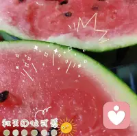 努力學習工作掙錢究竟是為了什么？

30+歲的人，經驗告訴我，付出的努力越多，收獲的也越多。努力學習、工作，都是為了更有質量地活著，可以做喜歡的事、和喜歡的人相處，可以學習想學的知識，而這些都是需要一定的物質基礎。配圖