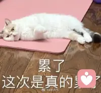 負面情緒清理技能
描述負面情緒帶來的感受，
分析其產生的原因，
再羅列三個應對措施。
寫下感受時，就像擁有一個完美傾聽者般獲得情緒釋放后的輕松感；
分析原因時，會發(fā)現(xiàn)自己思維的弊端，能進一步消解負面情緒并找到其產生的源頭；
最后再考慮采取怎樣的措施。
這種處理方式不僅能獲得經驗供下次參考和借鑒，也幾乎不會因自己的壞情緒對周圍人產生負面影響。配圖