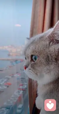 每個人都應該是相對獨立的，誰也不是別人的附屬品，然后努力去實現自己的小小愿望配圖