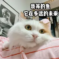 女生是要享受当下的恋爱，还是应该去想更多未来家庭的事情。
在以前女性是个弱势群体，老话说女怕嫁错郎，所以在一段感情里总会思想很复杂，在还没开始谈的时候都预想到谈了之后会怎么样，还在谈朋友的时候就预想到结婚了之后会怎么办，都在给自己未来找一个保障。比如说结婚要找个三观正，情绪稳定的老公，都是在预防自己在未来会受男方的苦。
也有一部分女生是只享受自己投入时候的情感变化，比如跟他说了话，整个人就开心了，一整天都动力满满。至于责任，也不是非要对方担负自己后半辈子，反正我已经是最好状态的自己，你让我状态不好了就远离你。只图男方带给自己的积极能量和愉悦感。
我认识的大多数朋友也都处于内心深处还是很传统，但是也深受网络女权的教化。当下的主流应该是女性活出自己的精彩，但传统的思维还是未来是需要依赖丈夫的。这两种矛盾的思想同时藏在现代女性当中，正如我现在面对的，我觉得我一个人也能过的好，于是对男性不报期待，但是有了合适的人，我还是会对他方方面面作预想，对未来有危机感，似乎我的未来会深受这个人的影响一样。
所以，你是应该考虑到当下自己的感情和心情去做决定，还是更应该考虑未来呢？配图
