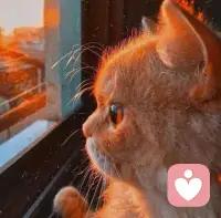 水滿則溢～
最近會用一個玄學安慰自己
得意的時候不要忘形
太順的時候適合摔一跟頭
水滿則溢
可能2021年好事太多
所以近一年才倒霉
可能也預示著好運要來了
會越來越好的
小陳加油啊配圖