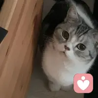 身體即有靈性，
只有你乖乖地付出大量的愛與關心給身體，
身體才會感動得痛哭流涕，
發誓好好跟你一生一世。
不給你添麻煩，
還會盡力幫助你完成你要的體力、
美麗還有永遠青春健康。配圖