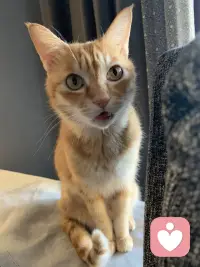 身體即有靈性，
只有你乖乖地付出大量的愛與關心給身體，
身體才會感動得痛哭流涕，
發誓好好跟你一生一世。
不給你添麻煩，
還會盡力幫助你完成你要的體力、
美麗還有永遠青春健康。配圖