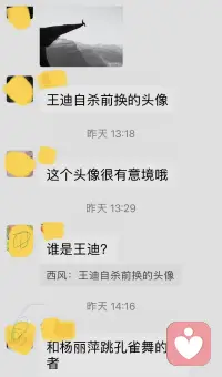 孔雀雙人舞王迪王麗萍，再光鮮亮麗風景也需強大心理承擔配圖