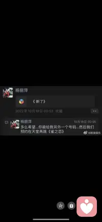 孔雀雙人舞王迪王麗萍，再光鮮亮麗風景也需強大心理承擔配圖