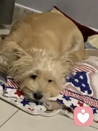 突然在其他人那里聽到最信任的朋友在背后說自己的壞話，心里特別不理解和傷心難受，因?yàn)槲矣X得我真心對待的朋友不應(yīng)該在背后詆毀我，所以心里有怨恨，冷靜之后自己也做了反思，覺得自己也是從別人那里聽說的，不一定是真的配圖