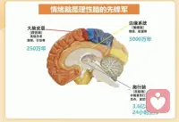 最最寶貴的是能自由的支配自己的思想行為：想說有人聽，想吃有的好吃，想喝奶茶就有，想出門就走……配圖