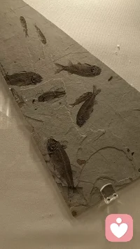 每個早晨??都要扔掉所有的昨天??腳步輕盈??無所畏懼！配圖