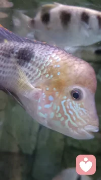 ♡²⁰²²☼₁₂.7星期三
﹊﹊﹊﹊﹊﹊﹊﹊﹊
只要你心存善念，懂得感恩，
用平和的心态正确面对，
始终保持一种顺其自然的心境，
你的人生必会坦然顺畅，幸福美好。配图