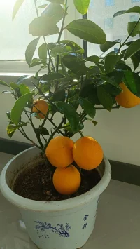 接受孤獨(dú)，是一個(gè)人走向獨(dú)立的開始！配圖