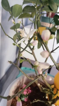 你對一個人有期待，他們實現了你的期待，你就會感覺舒服，愿意對他好。他們沒有實現你的期待，你就會生氣、失望或難過，不想再對他好。這是一個人的正常反應。配圖