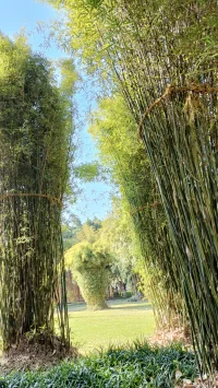 父母及時的回應，能給予安全感；
父母真心的鼓勵，能增強自信心；
父母善意的引導，能激發勇氣力；
父母堅持原則性，能刺激耐挫力。配圖