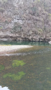 生命的線(xiàn)條，像錯(cuò)綜復(fù)雜的樹(shù)根，在看不見(jiàn)的地方交織。配圖