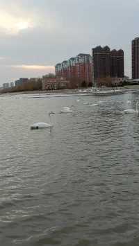 冷暖自知，悲喜自渡！配圖