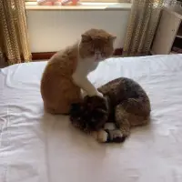 喜歡是棋逢對手，愛是甘拜下風；
喜歡是乍見之歡，愛是久處不厭；
喜歡是心血來潮，愛是念念不忘；
做女人最好的嫁妝是一生的理解，
男人最好的聘禮是一生的遷就；
落日晚風的盡頭，你有的是自由！