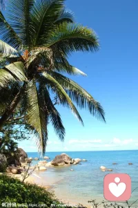 光環效應指人們對他人的認知判斷首先主要是根據個人的好惡得出的，然后再從這個判斷推論出認知對象的其他品質的現象。如果認知對象被標明是