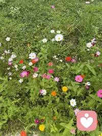 如果心里期待的东西一点点落空，慢慢的就不想要了，也就无所谓了。人真的会在某一瞬间，一把火烧了心中的所有的执念，一旦放下，就什么都不重要了。看淡所有期许，从此清净无波澜。得不到就不要！想不通就睡觉！没有什么人和事非要不可！拼命讨好别人未必领情！放弃有时比强撑更高级！与其在别人的世界里患得患失，不如在自己的世界里倒头就睡。配图