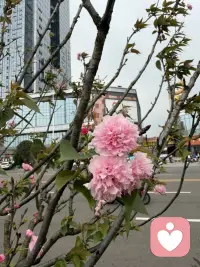 好好珍惜对你好的人吧，也许有一天，当你想珍惜的时候，有些东西已经不在了。其实人生最大的遗憾，不是错过了那个，你最在乎的人，而是错过了那个，最在乎你的人。错过了，就真的再也遇不到了。在这个不是很有人情味的世界里，对你好是你的骄傲。你可以用钱，买到你想要的一切，但你用多少钱，也买不到一颗时刻惦记你的心。配图
