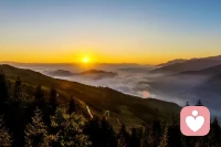 每个季节都适合开花，我们适合开心，
去野，去追，去和风撞个满怀。配图