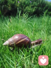 每個人都有負面情緒。負面情緒里包含著非常多重要的信息，打開這個信息，真正的了解自己。配圖