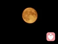 【心佛即是佛】如果看不到自己內(nèi)在的魔性（陰暗面）、人性（趨利避害，人心皆有向善?向惡可能）、佛性（光明面）要么評(píng)判?偏執(zhí)；要么內(nèi)耗?沖突；要么壓抑?疏離；直到更大的痛苦去喚醒你：去和解和穿越這些人生重要議題而內(nèi)心的良知與高貴，不應(yīng)成為自身與外部世界沖突的根源和理由就像實(shí)修拜佛，有人說(shuō)，你拜下去的那一刻，拜的其實(shí)是自己，因?yàn)槟巧钌畹囊话荩桶炎约簝?nèi)心的傲慢、我執(zhí)、評(píng)判全部放下了配圖