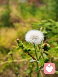 去做一些想干啥就能干啥的事，比如來一場說走就走的旅行，比如深層次的親近大自然，比如暢汗淋漓的大笑或者大言或者大喜或者大怒，讓心情無比放松、無比愉悅、無比自由，不帶任何束縛的無比地做自己……配圖