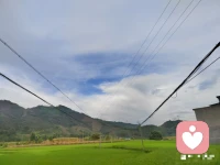 【戀愛補償】
在心理學里有一種叫做“戀愛補償效應”的說法。指的是容易喜歡上喜歡自己的人.所以，那些不主動的，在覺得自己喜歡上對方的時候，還是仔細審視下,是不是因為得知對方喜歡自己，所以才喜歡對方的呢？　配圖