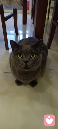 【心理常識：鬧鐘有害健康】

人在深度睡眠中突然被鬧鐘叫醒，會引起身體保護性的條件反射，體內腎上腺素水平迅速提高，心跳加快，血管收縮壓升高，長期受到這種刺激，很可能導致一系列睡眠問題，甚至引發高血壓。
建議：鬧鐘距頭1米遠，手機不要當鬧鐘，養成好的睡眠習慣睡得自然醒。配圖