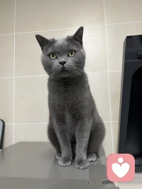 【幸福10大表现】
1.拍照片喜欢露牙齿；
2.旅游纪念品摆放在桌子上;
3.很享受地读书;
4.爱品茶或红酒;
5.再忙也要运动;
6爱收拾自己的小空间;
7有两个交心的朋友;
8.心里甜蜜地想着一个人;
9.早晨起床后感觉一身轻松;
10.走在路上忽然发笑
有4条以上，你内心就是幸福的配图